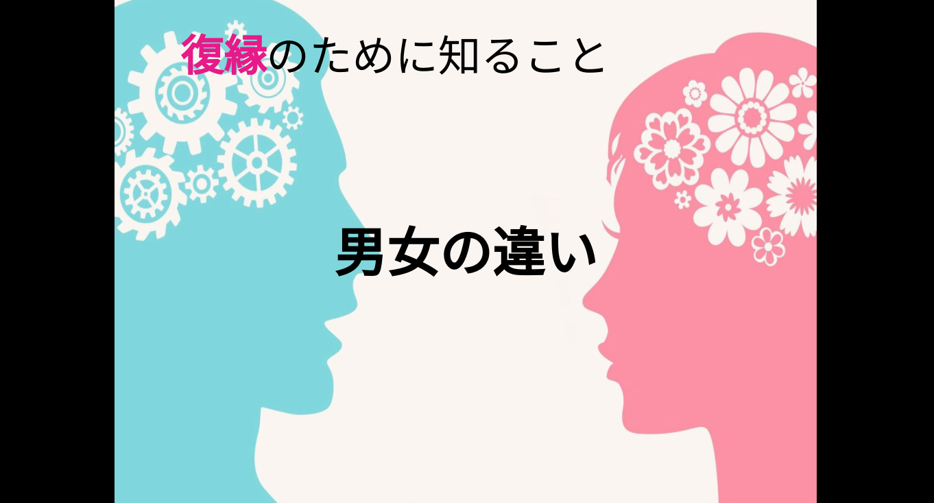 男女の違い